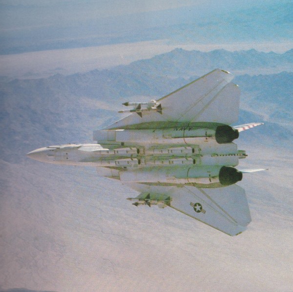Tomcat equipado com quatro Phoenix e dois pares de Sparrow e Sidewinder. Em agosto de 1981, dois F-14 abateram com seus Sidewinder dois Sukhoi líbios sobre o Mediterrâneo. 