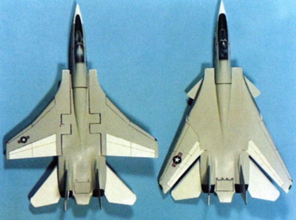 A Grumman estudou as duas possibilidades de asas para o F-14, optando pela Geometria Variável.