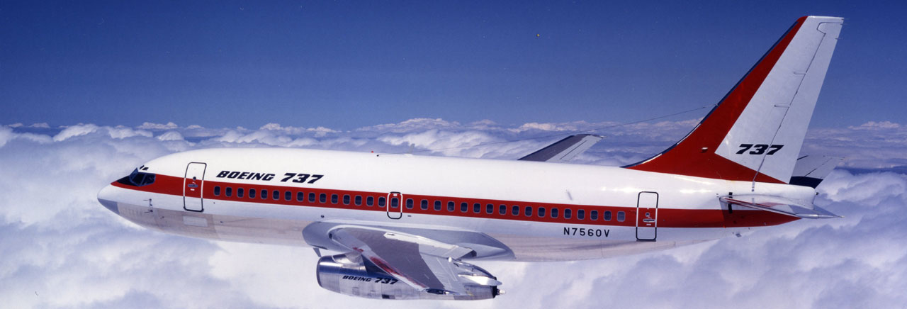 Ficheiro:Boeing 737-36E, Viva Air AN0776354.jpg – Wikipédia, a enciclopédia  livre