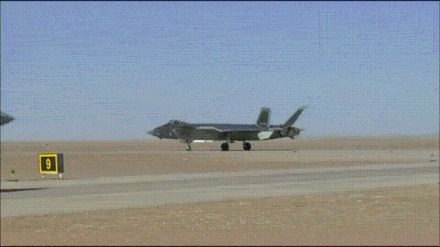 Grycat20