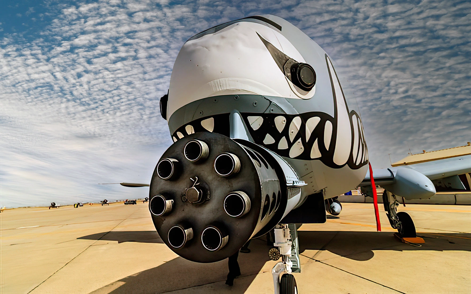 Como o lendário A-10 Warthog recebeu esse nome