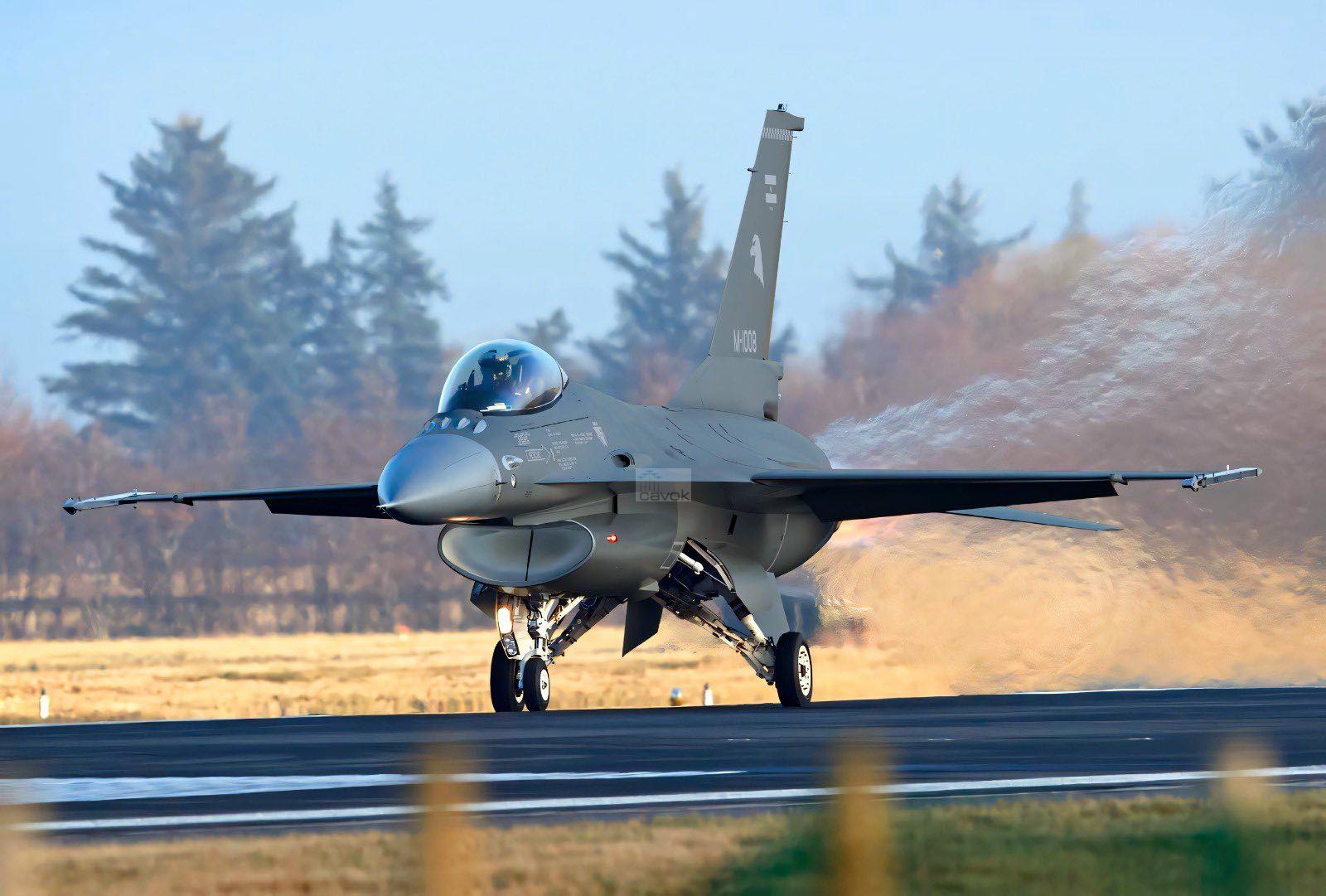 [Imagen: F-16AM_Argentina_TO_FAA.jpg]